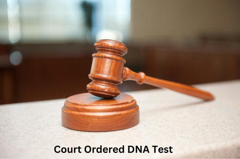 Understanding DNA Tests in Court: Why and When They Happen | Smartest Lab | Scoop.it