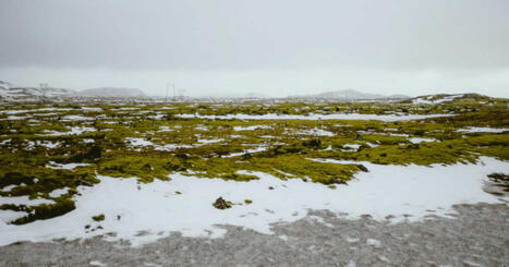 Sous les rivi&egrave;res, la fonte du perg&eacute;lisol est (bien) plus rapide que pr&eacute;vu | Plan&egrave;te DDurable | Scoop.it