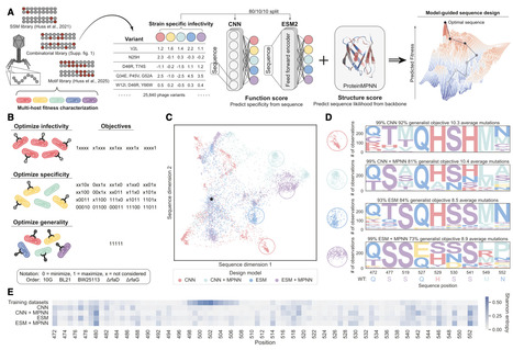 Multiobjective learning and design of bacteriophage specificity | csys | RMH | Scoop.it