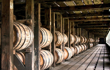 Bourbon of proof: Is Kentucky’s heritage spirit compromised by GMO corn? | YOUR FOOD, YOUR ENVIRONMENT, YOUR HEALTH: #Biotech #GMOs #Pesticides #Chemicals #FactoryFarms #CAFOs #BigFood | Scoop.it
