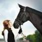 Salon du cheval 2011 : vente flash sur les places | Salon du Cheval | Scoop.it