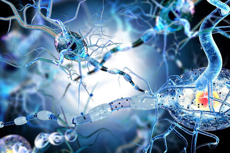 Scientists Discover How Multiple Sclerosis Kills Brain Cells | Multiple sclerosis | Scoop.it
