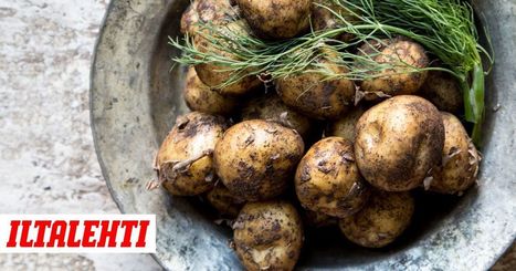 Miksi perunan keitinveteen laitetaan suolaa? | 1Uutiset - Lukemisen tähden | Scoop.it