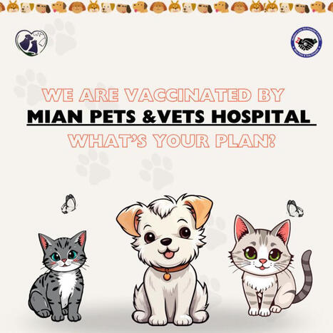 #mianpetsandvets #veterinarymedicine #felinehealth #vetmed #catvaccination #veterinaryeducation #catsoflinkedin | Mian Pets and Vets Clinic | Mucosal Immunity | Scoop.it