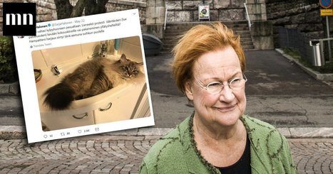 Presidentti Tarja Halonen julkaisi kuvan, joka kiteyttää täydellisesti, millaista elämä kissan kanssa on | 1Uutiset - Lukemisen tähden | Scoop.it