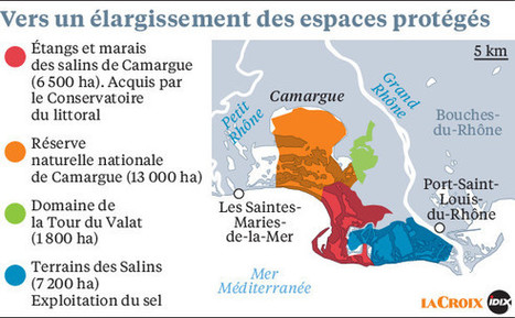  Là où la Camargue redevient sauvage | Camargue Nature | Scoop.it