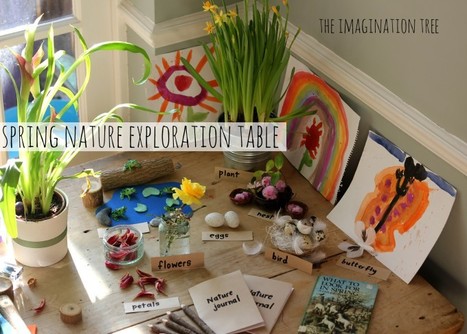 Nature Exploration Table - The Imagination Tree | Primary Geography for the Australian Curriculum | Scoop.it
