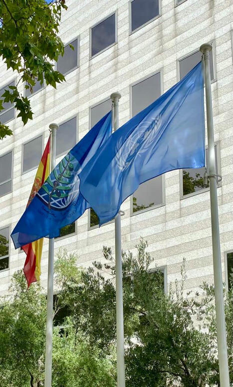 Carbon Balance, dagli ulivi un nuovo raccolto: crediti di carbonio | OLIVE NEWS | Scoop.it
