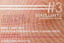 Arts numériques dans le grand Ouest, carnaval à Rennes et langues traditionnelles en Bretagne | Digital #MediaArt(s) Numérique(s) | Scoop.it