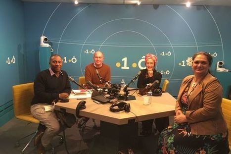 Podcast "Ultramarins". Débat institutionnel : le regard des trois océans | Veille institutionnelle Guadeloupe | Scoop.it