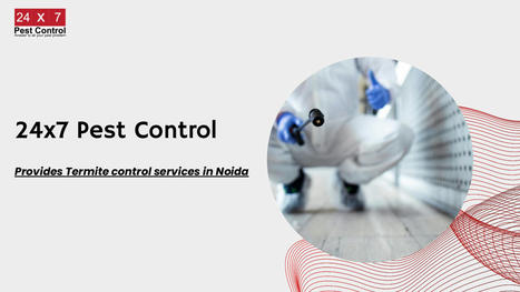 24x7 Pest Control in Noida | Pest Control Services | Scoop.it