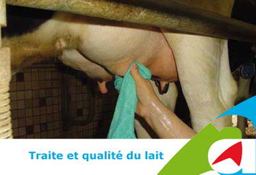 Traite et qualité du lait - Chambres d'Agriculture de Bretagne | Agrofourniture | Scoop.it
