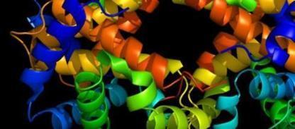 Determinación de estructura tridimensional de proteínas mediante ... - Blasting News | Ciencia-Física | Scoop.it