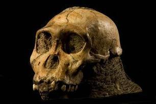 What We Learned About Our Human Ancestors in 2011 | Science News | Scoop.it
