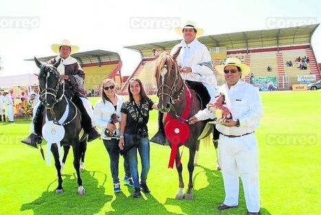 Pasión por la crianza del Caballo de Paso Peruano - Diario Correo | Caballo, Caballos | Scoop.it