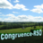 congruence-RSO