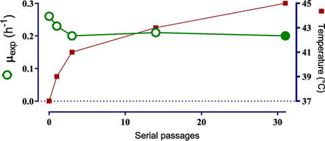 Thermally adapted Escherichia coli keeps transcriptomic response during temperature upshift exposure | Amb | RMH | Scoop.it