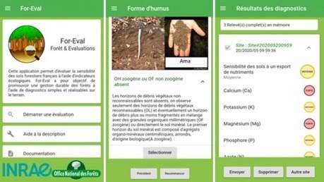 Gestion durable des sols en forêt - Lancement de l’application mobile For-Eval - INRAE INSTIT | Biodiversité | Scoop.it