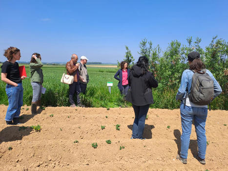 Un réseau régional d’acteurs sur les Solutions d’adaptation fondées sur la nature en Hauts-de-France | Biodiversité | Scoop.it