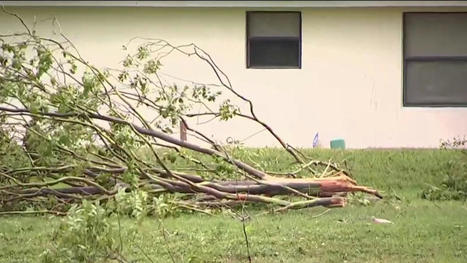 Severe storm damage in Broward was caused by EF0 tornado: NWS – NBC Miami | Operation Deimos | Scoop.it