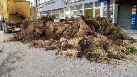 Agen: des agriculteurs d&eacute;versent du fumier devant une agence bancaire | Mouvements Sociaux | Scoop.it