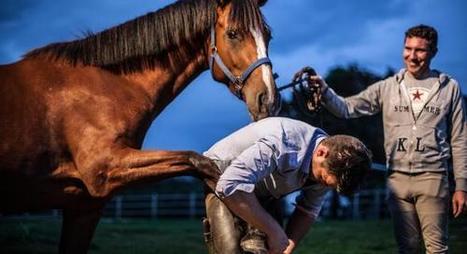 Hesdin-L'Abb&eacute; : les meilleurs mar&eacute;chaux-ferrants vont s'affronter ce week-end | Cheval et Nature | Scoop.it