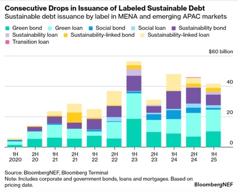 Sustainable Debt Plays Key Role in Scaling Climate Finance for Emerging Markets | Contexto energético general | Scoop.it