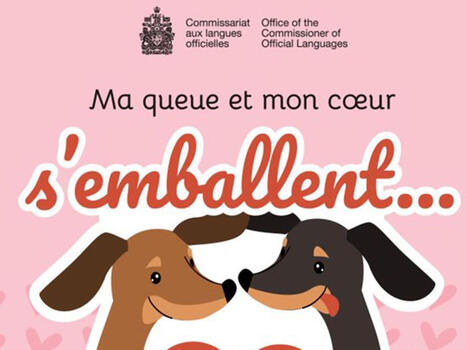 French meme gets internet asking: subtle dick joke or bad translation? | National Post | Language and Culture | Scoop.it