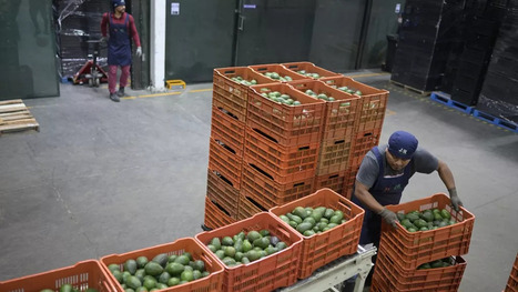 MEXIQUE : Un des champions du temps de travail, s'engage vers la semaine de 40 heures  | AMÉRIQUES | Scoop.it