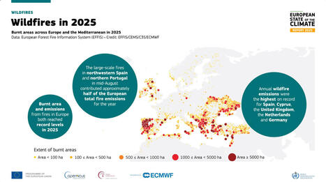 Rapport 2025 de l'Etat europ&eacute;en du climat - Copernicus | Biodiversit&eacute; | Scoop.it