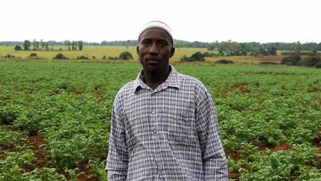 En Guinée, les organisations paysannes soutiennent l'agriculture et les paysans | Questions de développement ... | Scoop.it
