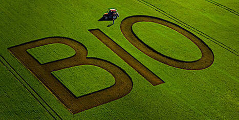 Agriculture bio en France - Les collectes de c&eacute;r&eacute;ales et de prot&eacute;agineux inf&eacute;rieures &agrave; 1 % de la production totale | Questions de d&eacute;veloppement ... | Scoop.it