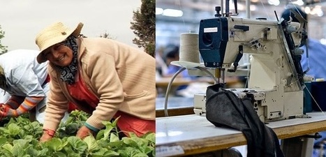 TUNISIE: Récession : seuls le textile et l'agriculture ont tiré leur épingle du jeu | CIHEAM Press Review | Scoop.it