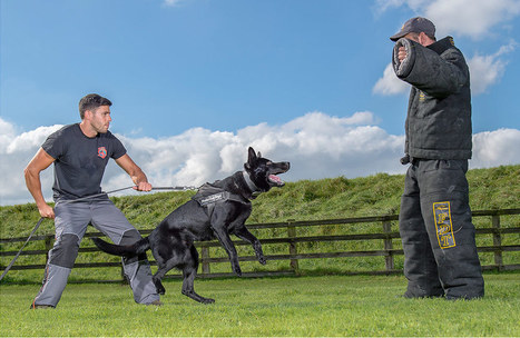 protection dogs worldwide