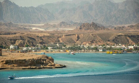 Egyptian govt orders oil spill cleanup in Sinai sea, promises action against polluter / le 03.05.2025 | Pollution accidentelle des eaux (+ déchets plastiques) | Scoop.it