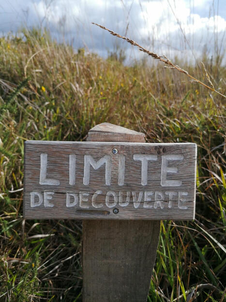 Un milliard en jeu et d’enjeux en 2026 | Le tourisme pour les pros | Scoop.it