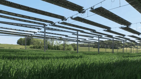 Énergie : des panneaux solaires au-dessus des récoltes | Plusieurs idées pour la gestion d'une ville comme Namur | Scoop.it