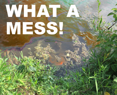 Delaware County DA’s office investigating Brookhaven fuel spill, which killed wildlife and contaminated waterways | Newtown News of Interest | Scoop.it