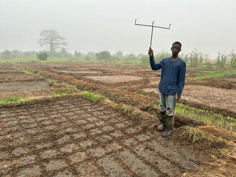 ANGOLA: SRI Methods are Tested in Angola for the First Time | SRI Global News-- October-December 2025-- System of Rice Intensification (SRI) | Scoop.it