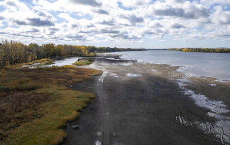 2025 Assessment: The environment is being "sacrificed" by Quebec and Ottawa | Ils parlent de nous ! | Scoop.it