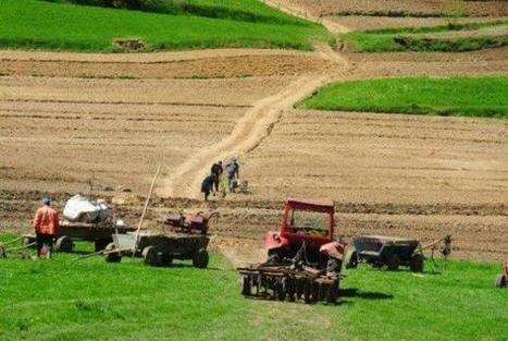 Romania : Farmers work on the 6th farming area in EU, but productivity is low | AFRIQUES | Scoop.it