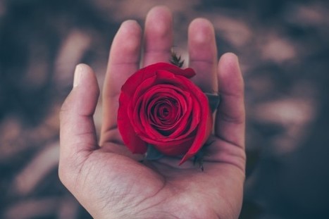 rose day gf status