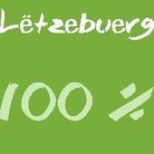 "Lëtzebuerg 100%" - 22 facts about Luxembourg | Luxembourg (Europe) | Scoop.it