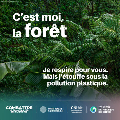Journée mondiale de l'environnement  2025 -  Nations Unies | Biodiversité | Scoop.it