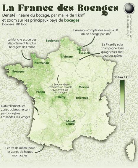 La France des Bocages 🌳🐄🌳 | Lait de Normandie... et d'ailleurs | Scoop.it