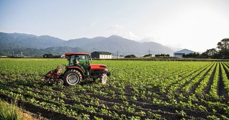 Face au réchauffement climatique, des fermes d'un nouveau type aux Pays-Bas | LE GRAND NORD | Scoop.it