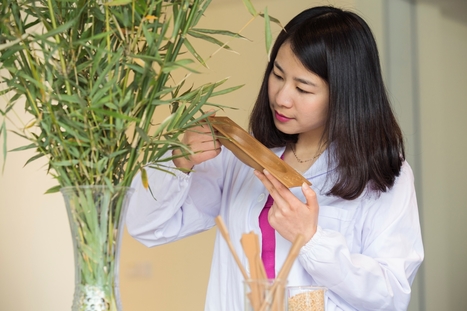 Ford looks to bamboo to grow its use of sustainable composites - Plastics News | Supply chain News and trends | Scoop.it