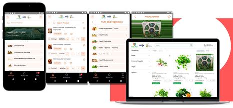Web Portal Modernization and Mobile App Development for German Fruit and Vegetable Suppliers and Retailers | Minds Task Technologies | Scoop.it