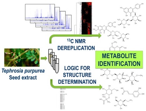 Exploiting the Complementarity between Dereplication and Computer-Assisted Structure Elucidation for the Chemical Profiling of Natural Cosmetic Ingredients: Tephrosia purpurea as a Case Study | Natural Products Chemistry Breaking News | Scoop.it