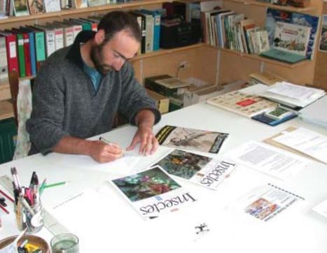 Art et insectes, par Bruno Didier | Insect Archive | Scoop.it